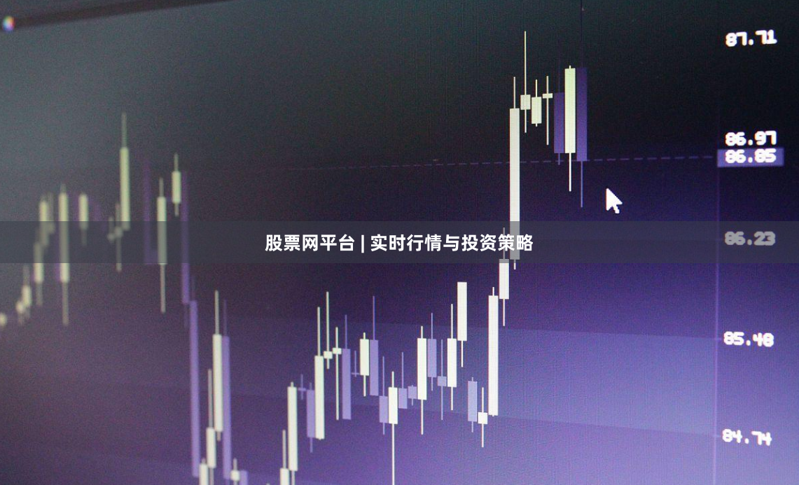 股票网平台 | 实时行情与投资策略