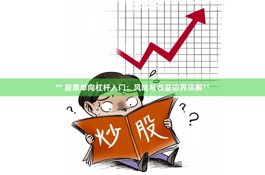 ** 股票单向杠杆入门：风险与收益边界详解**