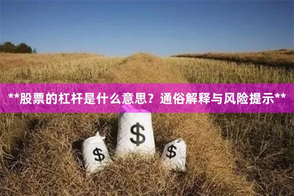 **股票的杠杆是什么意思？通俗解释与风险提示**